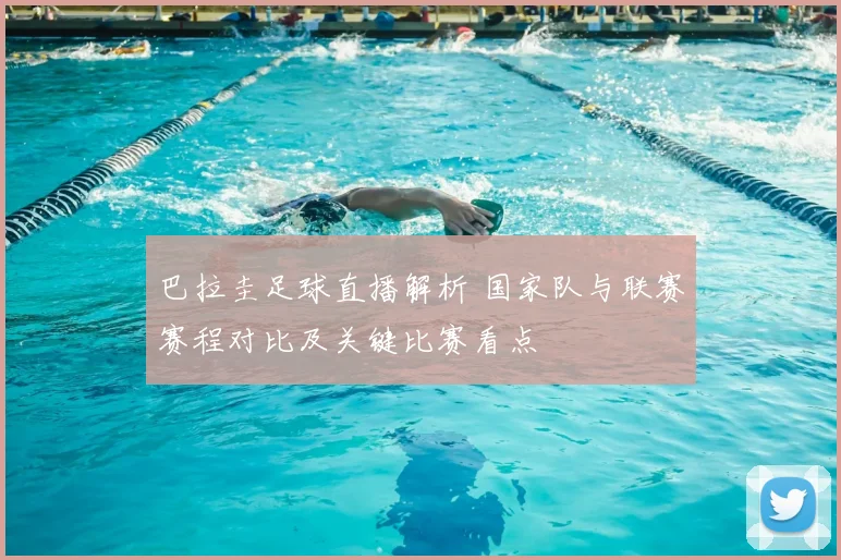巴拉圭足球直播解析 国家队与联赛赛程对比及关键比赛看点