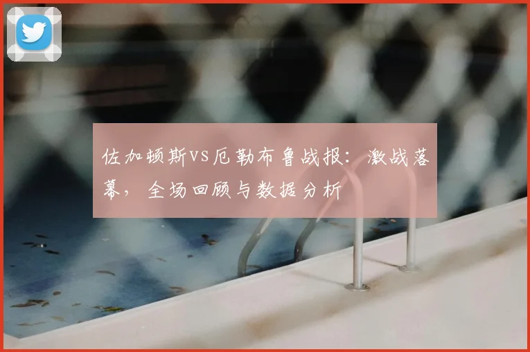 佐加顿斯vs厄勒布鲁战报：激战落幕，全场回顾与数据分析