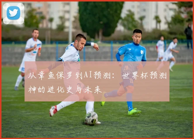 从章鱼保罗到AI预测:世界杯预测神的进化史与未来