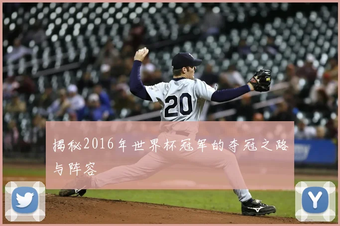 揭秘2016年世界杯冠军的夺冠之路与阵容