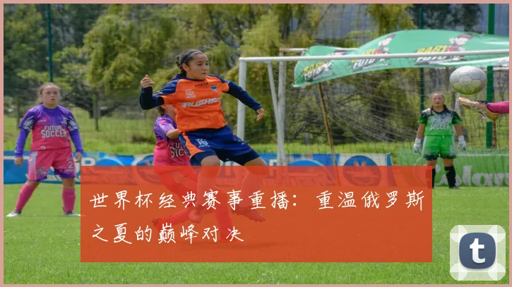 世界杯经典赛事重播:重温俄罗斯之夏的巅峰对决